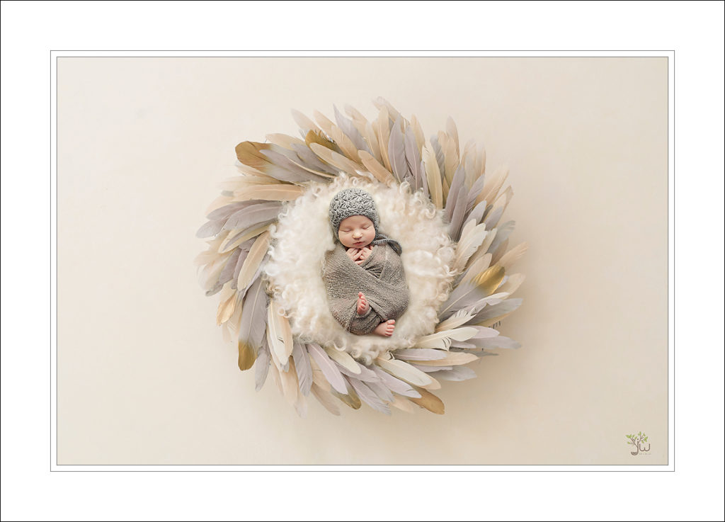 Best Auburn Newborn Photographer